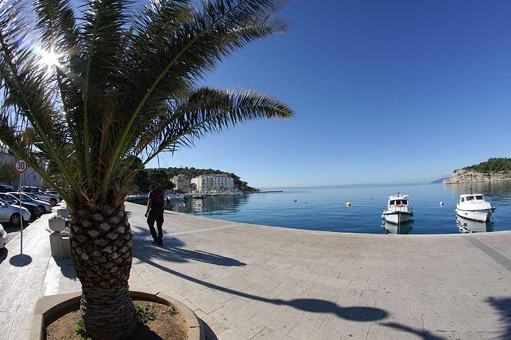 Bekavac Makarska